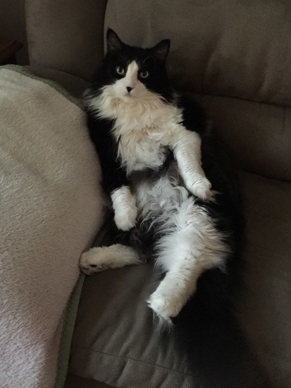 Edwin: Chilling out, watching the Cardinals